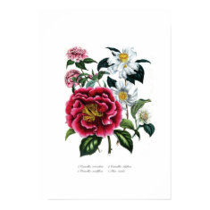 Camellias print