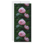 Camellias Custom Rack Card