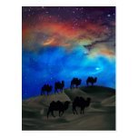 Camellos de la caravana del desierto postal