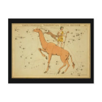 Camelopardalis, Tarandus and Custos Messium postcards