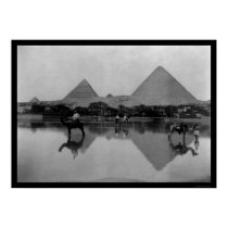 Camels and Pyramids in Egypt 1899 posters