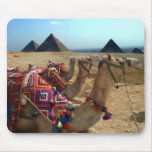 Camels at Giza, Cairo mousepads