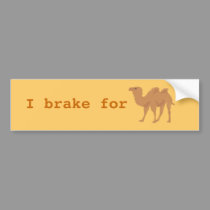 Camels bumper stickers