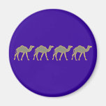 Camels camels refrigerator magnet