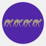Camels camels round stickers