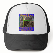 CAMELS - even-toed ungulates hats