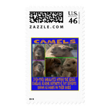 CAMELS - even-toed ungulates Stamp