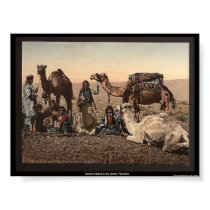Camels halting in the desert, Palestine posters by eyecandy Camels halting in the desert, Palestine posters