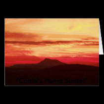 Camel's Hump Sunset cards