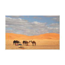Camels in Sahara desert Wrapped Canvas Stretched Canvas Print