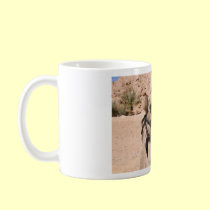Camels in the desert at St. Catherine's mugs