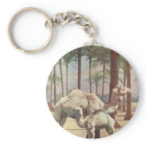 Camels Keychains
