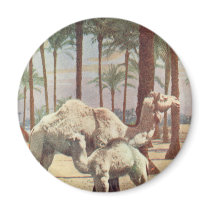 Camels magnets by aussiechristmas Camels magnets