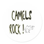 Camels Rock! Sticker
