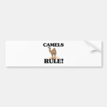 CAMELS Rule! Bumper Stickers