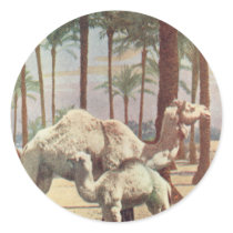 Camels Stickers