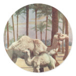 Camels Stickers