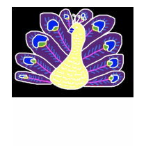 Cameo Peacock by Wendy C. Allen t-shirts by eelkat Cameo Peacock by Wendy C. Allen t-shirts
