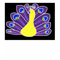 Cameo Peacock by Wendy C. Allen t-shirts by eelkat Cameo Peacock by Wendy C. Allen t-shirts