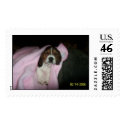 camera 036 postage