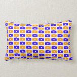 Camera Love Lumbar Pillow (Blue and Orange) pillows