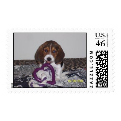 camera postage stamp by quillengirl1