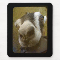 Camera Yum! mousepads