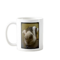 Camera Yum! Coffee Mugs