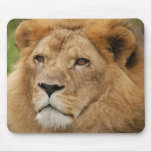 cameron10x10 mouse pads