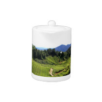 Cameron Highlands Tea