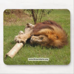 Cameron_toy_001_4x6 copy mouse pads