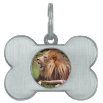 Cameron_toy_002_4x6 pet tags