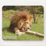 Cameron_toy_004_4x6 copy mouse pad