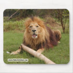 Cameron_toy_005_4x6 copy mousepad