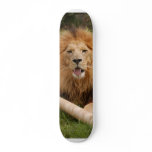 Cameron_toy_005 Skate Deck