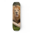 Cameron_toy_005 skateboards