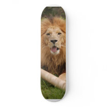 Cameron_toy_005 skateboards