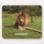 Cameron Toy 3888 copy Mousepad