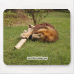 Cameron Toy 3899 copy Mouse Pad