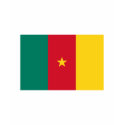Cameroon FLAG International t-shirts by flagshirt Cameroon FLAG International t-shirts
