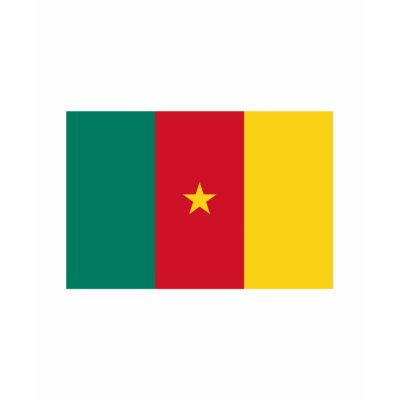 Cameroon FLAG International Shirts by flagshirt