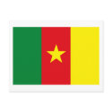 Cameroon Flag Postcard