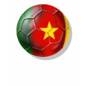 Cameroon flag soccer ball fans gear t-shirts by SoccerJersey Cameroon flag soccer ball fans gear t-shirts