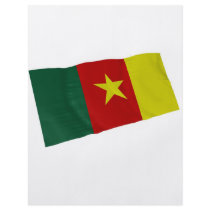 cameroon full color flyer