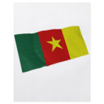 cameroon full color flyer