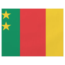 Cameroon Old Flag flyers by flagshirts Cameroon Old Flag flyers