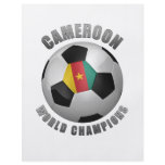 CAMEROON SOCCER CHAMPIONS FULL COLOR FLYER