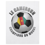 CAMEROUN SOCCER CHAMPIONS FLYER DESIGN