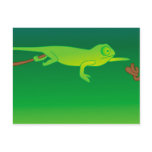 cami the chameleon post card