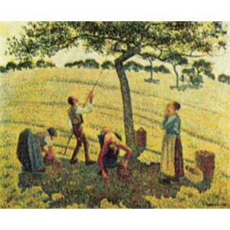 Camille Pissarro - Apple Harvest Eragny 1888 Oil print
